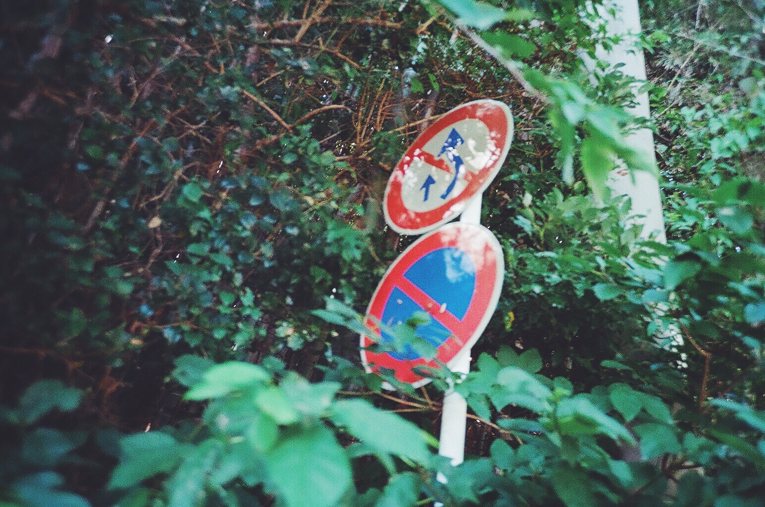 Processed with VSCO with f2 preset