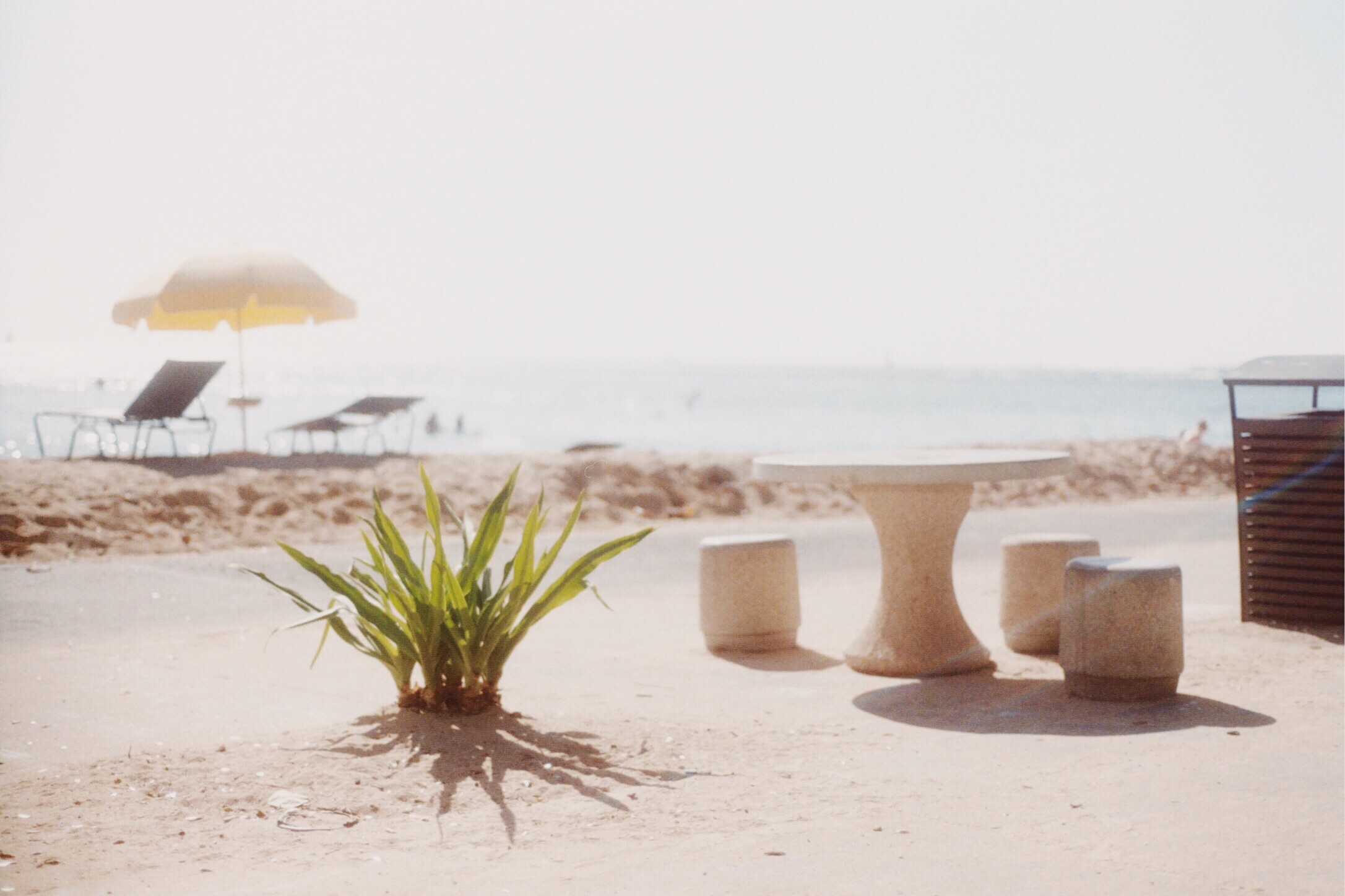 5b3b3e1c-4278-4e93-8bcd-6b8cb5b883c2